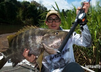 TESTED: Daiwa TMX-G 601H & Z2020H baitcaster combo